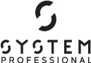 System Professional